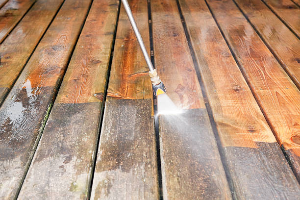 Best Sidewalk and Walkway Cleaning  in Ly Lake, IL