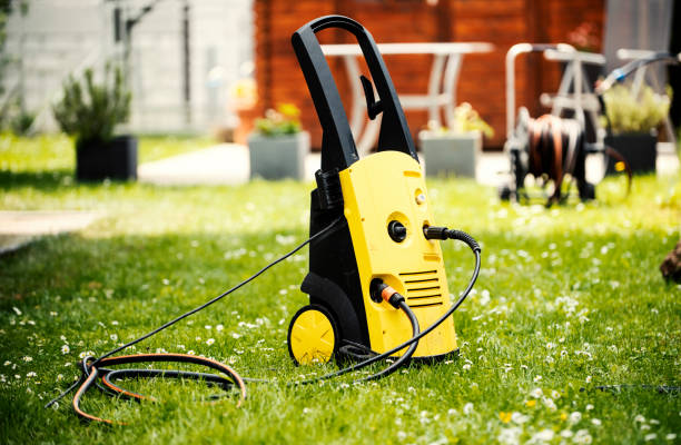 Best Sidewalk and Walkway Cleaning  in Ly Lake, IL